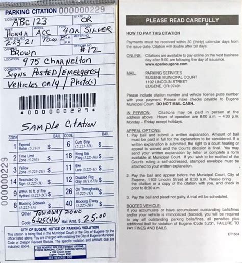 Parking Ticket Information .